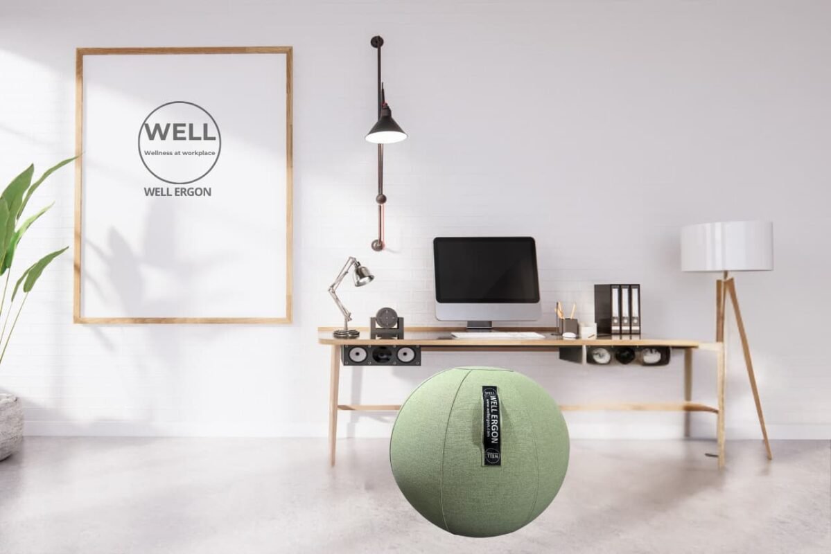 Ergo Ball | Fitness Ball – Eb06