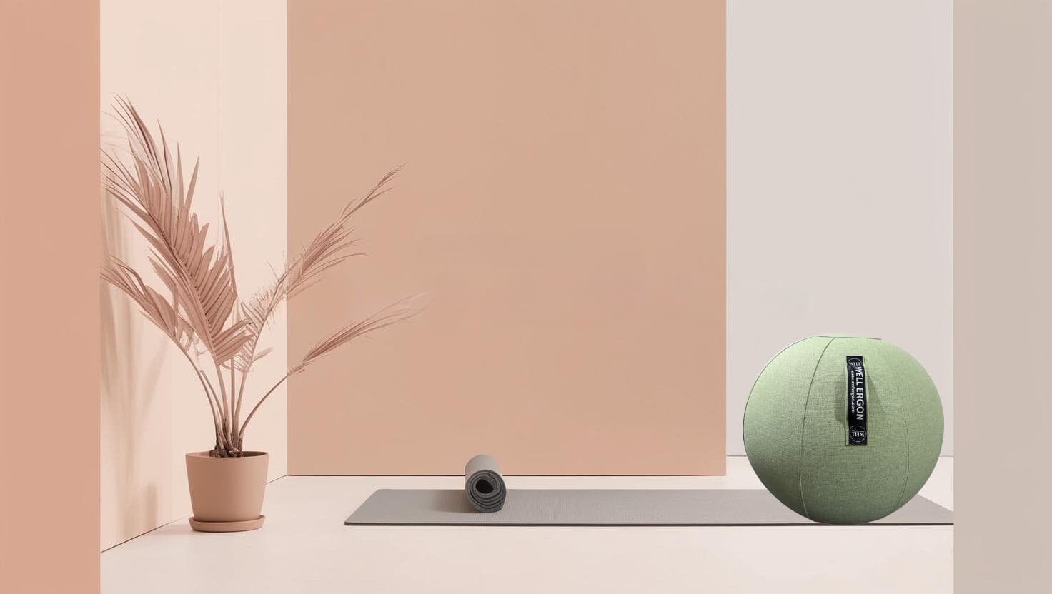 Ergo Ball | Fitness Ball – Eb06